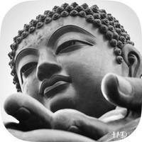 Buddha Gallery Background HD