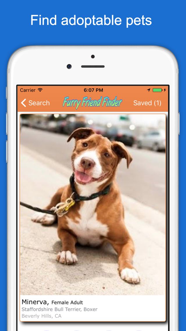 Furry Friend Finder Pet Rescue App For Iphone Free Download Furry Friend Finder Pet Rescue For Iphone Ipad At Apppure