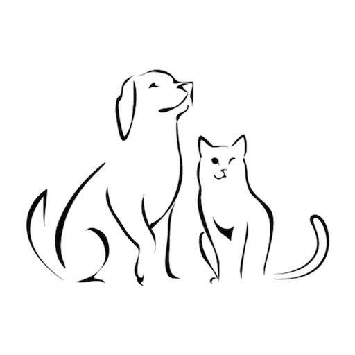 Черно белый рисунок кошки и собаки