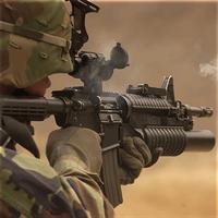 Sniper Bravo 3D. Assassin's Fury Shot