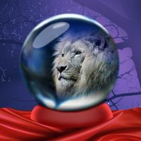 What Animal Was I In My Past Life - Crystal Ball