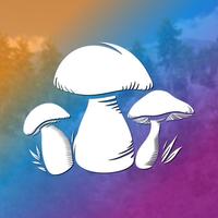 Mushroom Hunting Simulator 3D