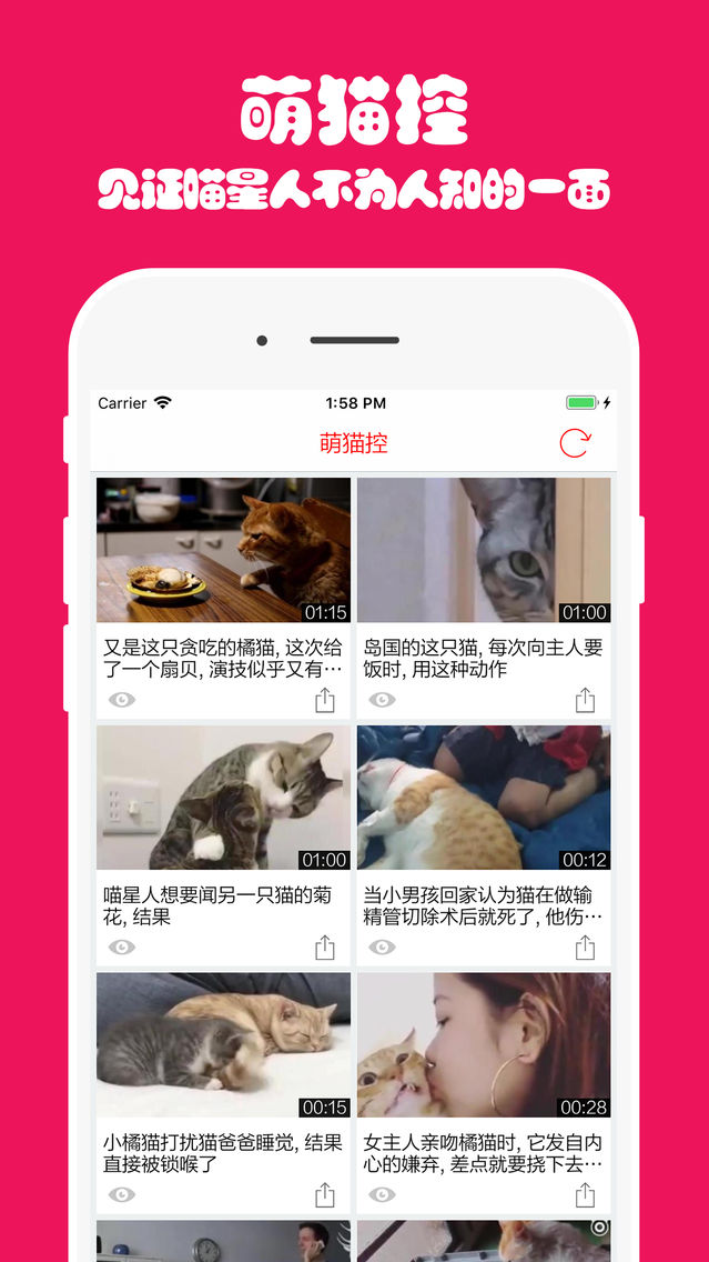 猫主子app For Iphone Free Download 猫主子for Iphone At Apppure