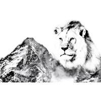 Lion Mountain TV