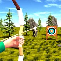 Archer Skill: Shooter Challeng