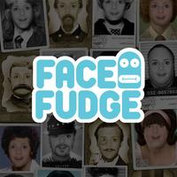FaceFudge