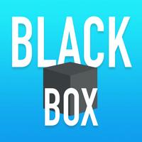 Black Box - What is Inside