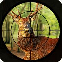 Dear Hunter - Deer Bear and Fox hunting with sniper