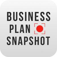 Business Plan Snapshot