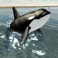 Orca Whale Simulator