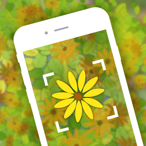 Tree and Plant Identification Apps - Blog and News - Notes from the Editor