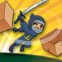 Box Ninja GO!