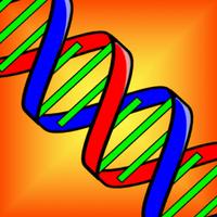 Genetics & Birth Defects: Medical Dictionary and Terminology of Human Genetic Code and Evolution