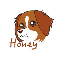 Honey the Brittany Spaniel