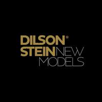 Dilson Stein App