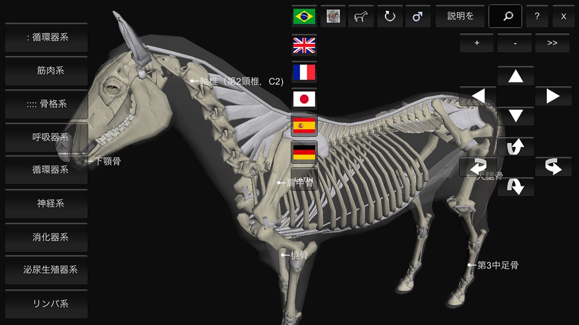 3d Horse Anatomy Software App For Iphone Free Download 3d Horse