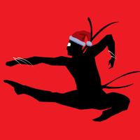 Ninja or Santa - Christmas Fun