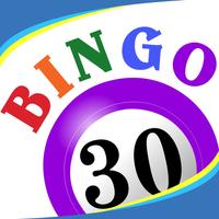 Bingo Thirty™