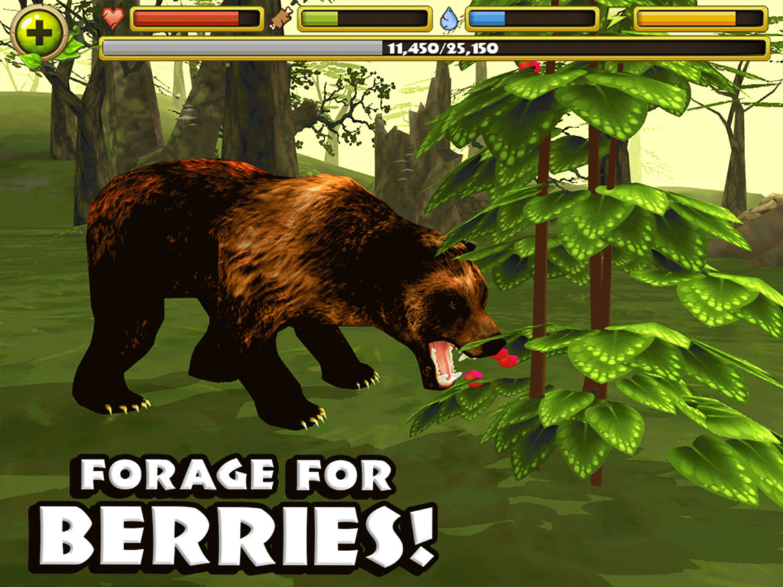 Wildlife Simulator Bear App For Iphone Free Download Wildlife Simulator Bear For Ipad Iphone At Apppure