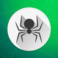 Spider Solitaire Card Game.