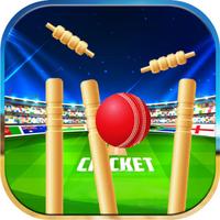 Pool Cricket Opend