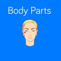 Body Parts Flashcard for babies and preschool