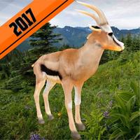 2017 African Deer Hunting Safari Survival