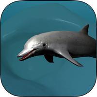 Real Dolphin coral reef simulator