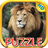 Lions and Big Cats - Puzzle Slide