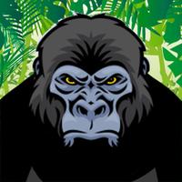 A Jungle Ape Zoo Escape - Crazy Forest Run