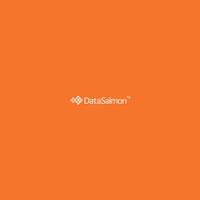 DataSalmon