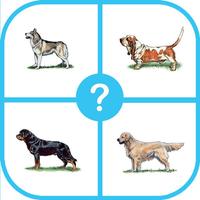 Dog Breed Quiz : Guess The Dog Trivia Pup Games