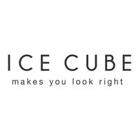 ICE CUBE - אייס קיוב