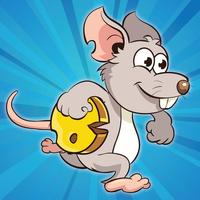 Mouse Mayhem - Maze Challenge