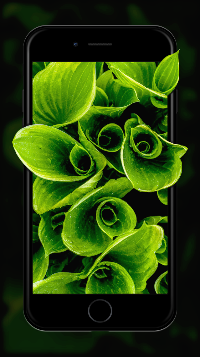 How do you repost other peoples pictures on instagram Live wallpapers free download for mobile phones