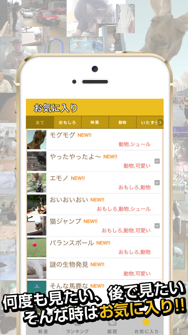 俺のgif 絶対笑えるおもしろgifアニメ画像 App For Iphone Free Download 俺のgif 絶対笑えるおもしろgifアニメ画像 For Iphone At Apppure