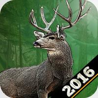 Big Game Wild Deer Hunting 3D Hunter 2016