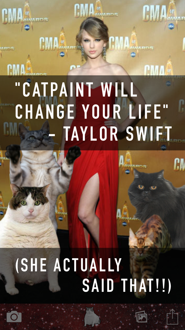Catpaint App For Iphone Free Download Catpaint For Iphone Ipad