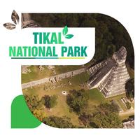 Tikal National Park Tourism Guide