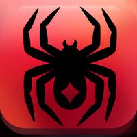 Spider Solitaire The Card Game
