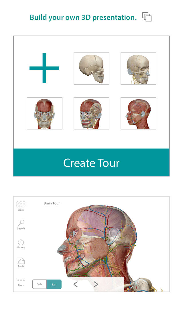 human anatomy atlas 7