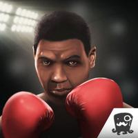King Of Boxing Games