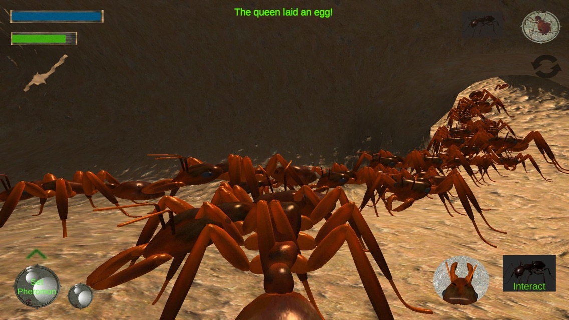 colony survival online colony survival online