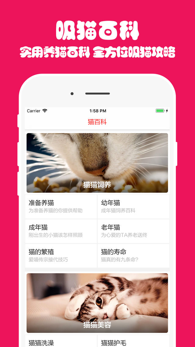 猫主子app For Iphone Free Download 猫主子for Iphone At Apppure