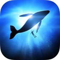 Underwater Wallpapers & Themes
