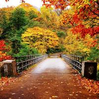 First Day Fall - Autumn HD Wallpapers