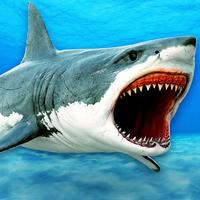 Monster Hunter Shark: Killer Fish HD