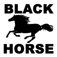 Black Horse Auto Body