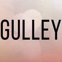 Gulley Bail bonds