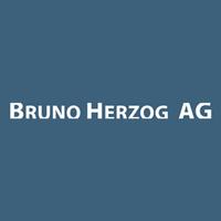 BRUNO HERZOG AG